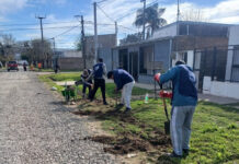 Zanjeo en Santa Fe: ya intervinieron más de 3.300 metros en barrios sin desagües
