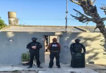 Dos allanamientos en Ceres: detuvieron a un joven y secuestraron marihuana y $200.000