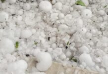 Fuerte tormenta de granizo provocó importantes daños en San Jorge
