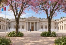 Plaza Italia: definieron el proyecto de recuperación y avanzan hacia la licitación
