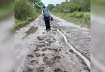 Cuatro kilómetros de barro para llegar al aula: la historia de Alejandra, la docente que enseña en el norte santafesino