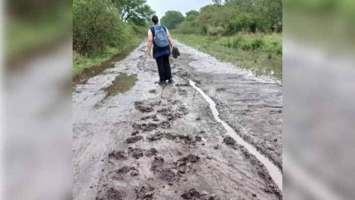 ALEJANDRA GONZALEZ VERA DOCENTE