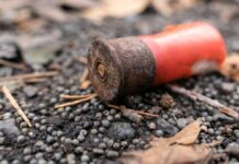 Plomo, fauna y salud: un estudio realizado en San Javier encendió las alarmas