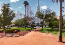 Proponen instalar carteles en plazas y parques de Santa Fe para prevenir la caza de aves silvestres